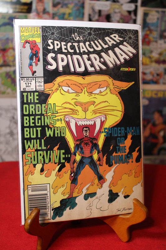The Spectacular Spider-Man #171 - Marvel Comics 1990 - Newsstand Variant